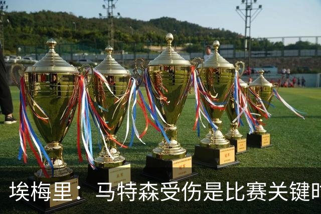 埃梅里：马特森受伤是比赛关键时刻，那次犯规应该出示红牌